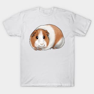 Small Mammal - American Guinea Pig - Dutch T-Shirt